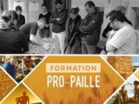 25-31/08 : Formation Pro-Paille