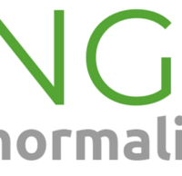 La Guilde Sable Vert sort son rapport sur la Normalisation des Granulats pour Bétons Biosourcés (NG2B)