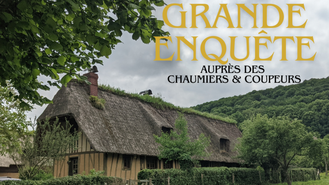 You are currently viewing BâtiRoseau – Grande enquête auprès des Chaumiers & Coupeurs