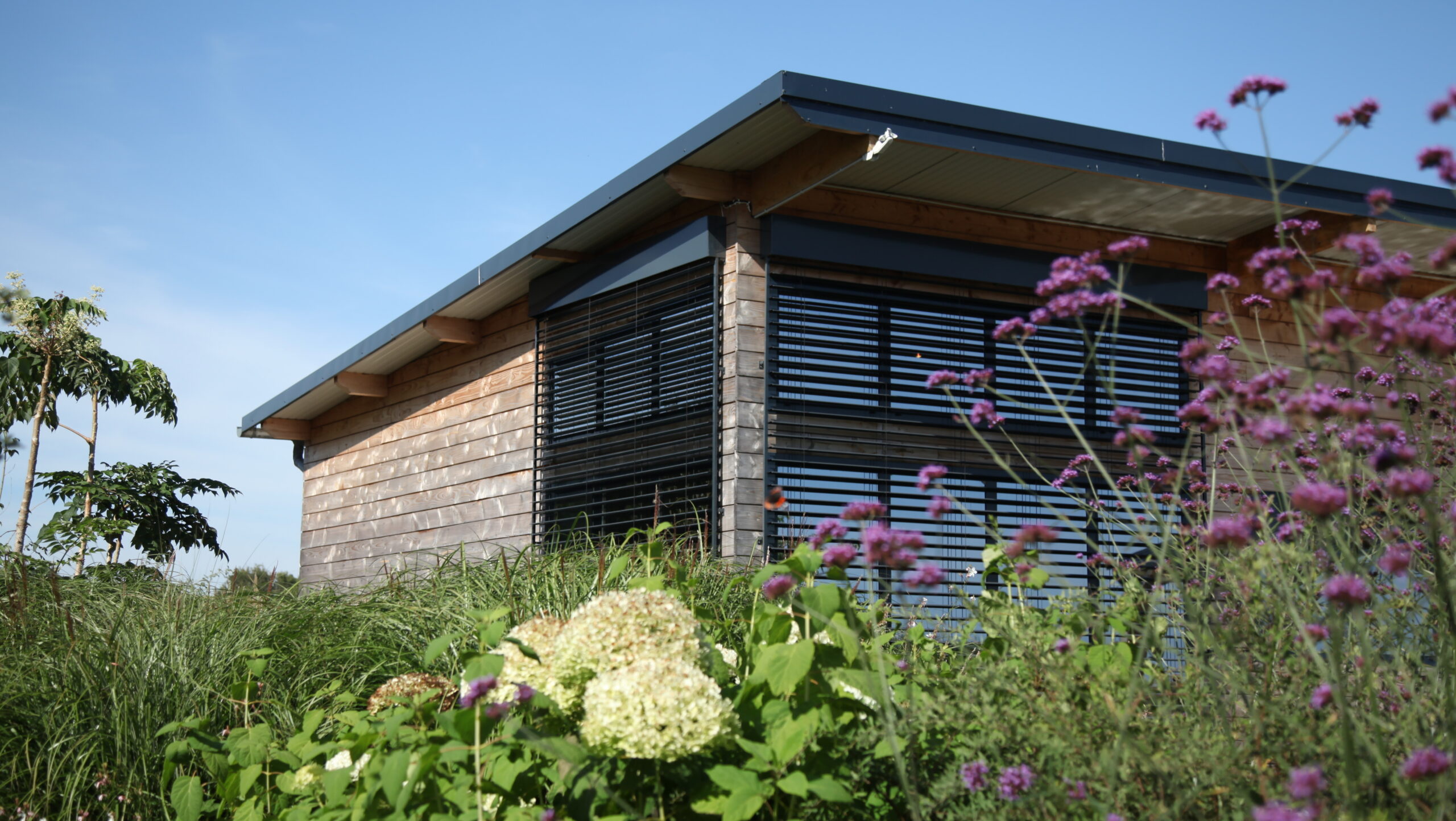 Bureaux bioclimatiques d'Oxalis