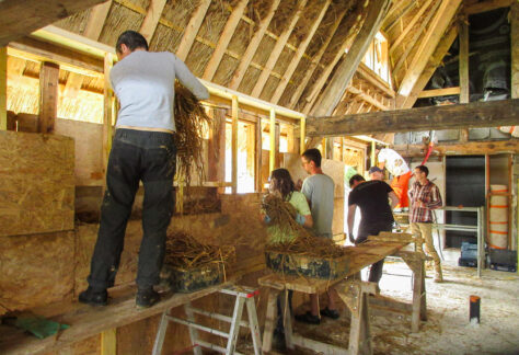 Chantier participatif à Brestot 2025 ©ARPE Normandie