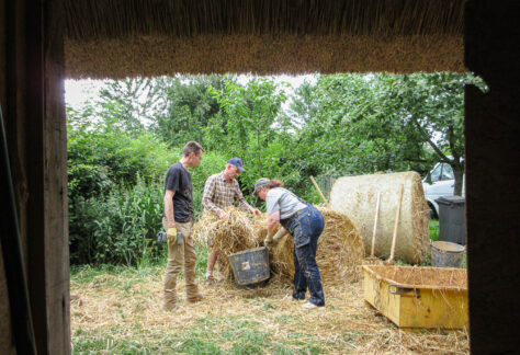 Chantier participatif à Brestot 2025 ©ARPE Normandie