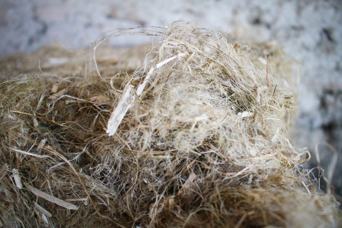 Soufflage laine de chanvre, Colomby-Anguerny (14) ©ARPE Normandie