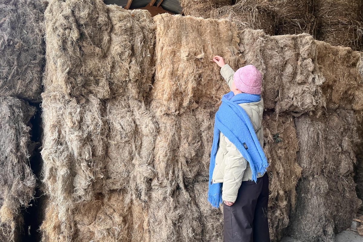 Visite chanvrière Agrochanvre 2022 ©ARPE Normandie